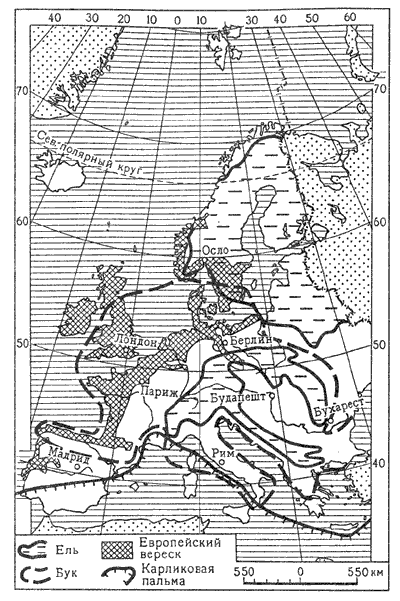 ��������������� ��������� �������� � ���������� ������