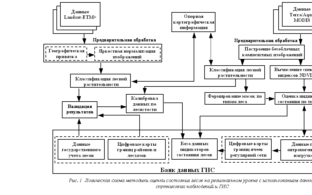 �������:  