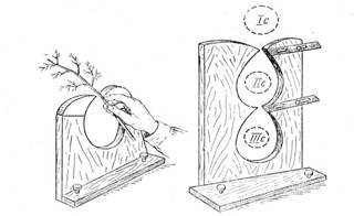 ���. 31. ������ ��� ���������� �������