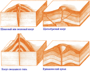 ���� ������������� �������