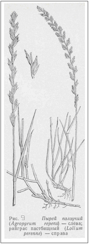 �������:  