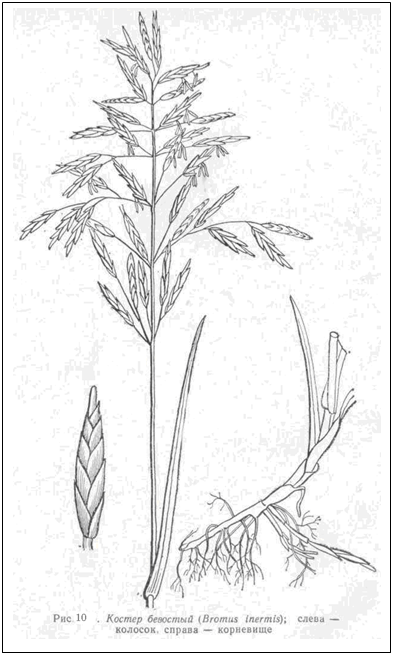 �������:  