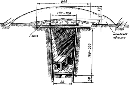 ���������� ���� (������� ���� � �����������) 