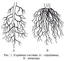 �������� �������