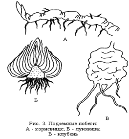 ��������� ������