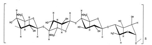 ����������000ty