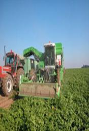 ���������� ��������� ������������ ������� AVR Puma