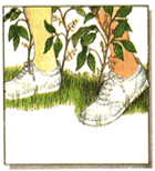 ���������� ����� ������ ������