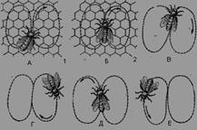 ��������: �������� ����� ����� ��������