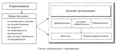 ��������: http://www.rau.su/observer/N13_95/Image8.gif